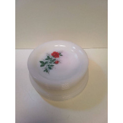 SET ASSIETTES ARCOPAL 
