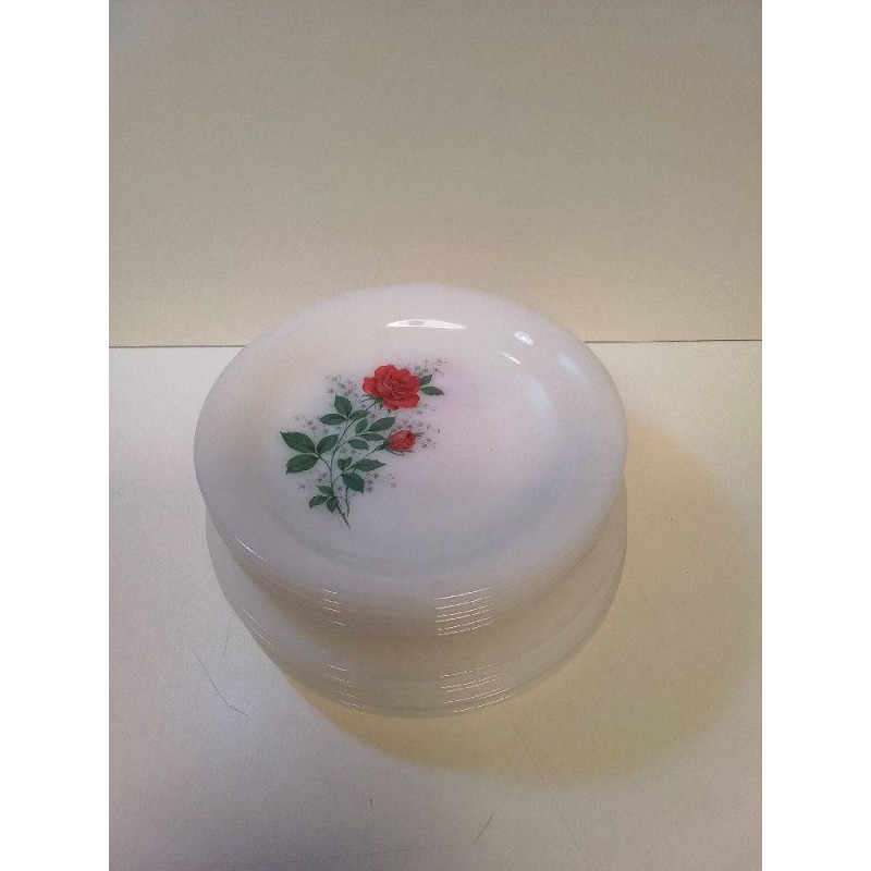 SET ASSIETTES ARCOPAL 
