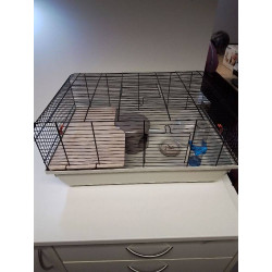 CAGE RONGEURS 
