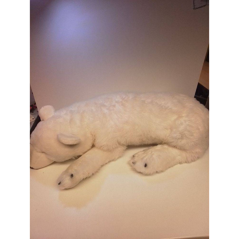 OURS POLAIRE 