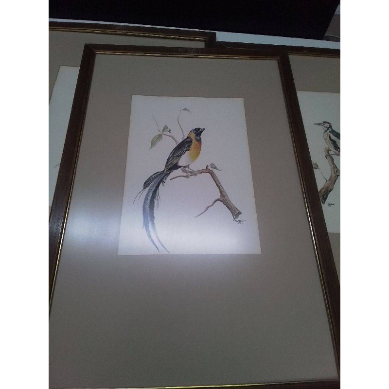 CADRE NATURE SIGNÉ DELOOS ALPHONSE DIT FOOS 