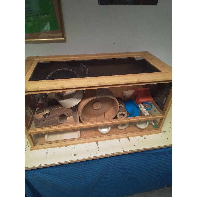 TERRARIUM + ACCESSOIRES 