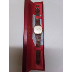 MONTRE PONTIAC 