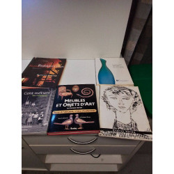 LIVRE THEME ARTISANAT 