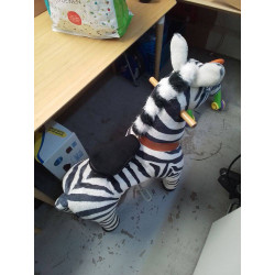 ZEBRE PONYCYCLE
