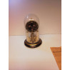 HORLOGE PENDULAIRE