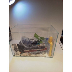 AQUARIUM + ACCESSOIRES 