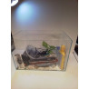 AQUARIUM + ACCESSOIRES 