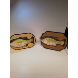 POISSON MUSICALE 