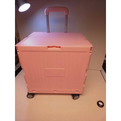 CAISSE A ROULETTES ROSE