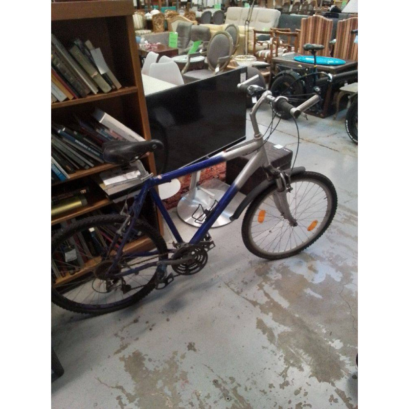 VELO BLEU ET BLANC
