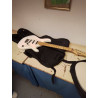 GUITARE ARTIC CORT